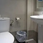 阿尔达帕伦西亚中心酒店 酒店 *